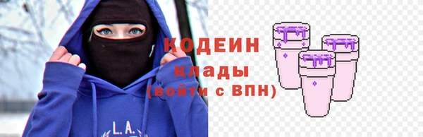 индика Верея